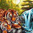тигры - лето, кошки, тигры - оригинал