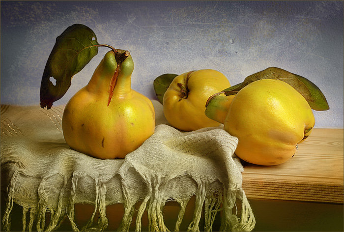 айва - фрукты, натюрморт - оригинал