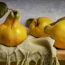 Схема вышивки «№568661»