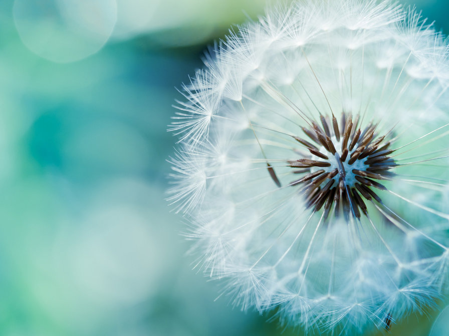 2 - t - оригинал