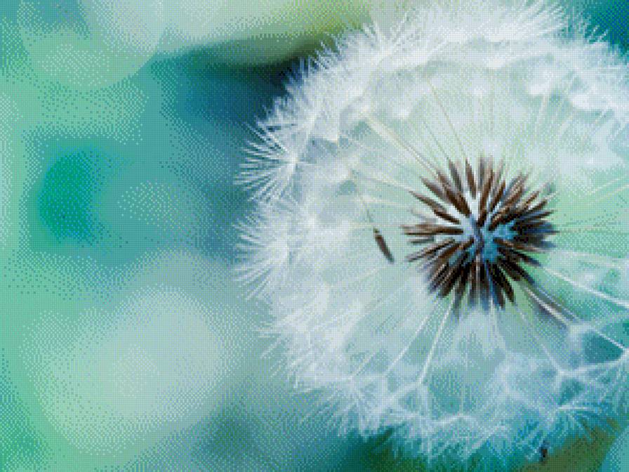 2 - t - предпросмотр