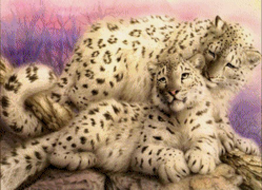 №568783 - предпросмотр