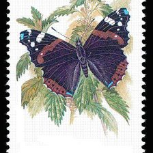 Оригинал схемы вышивки «пано бабочка» (№568916)