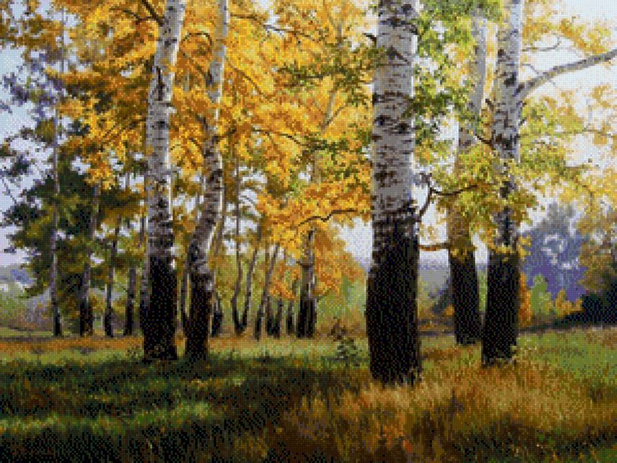 Gennadij Kiriczenko-Jesienne brzozy - ziwopis, brzozy, natura, pejzaz - предпросмотр