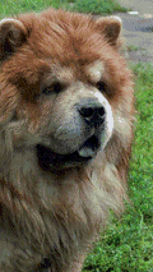 Миха - предпросмотр