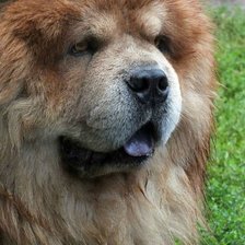 Схема вышивки «Миха»