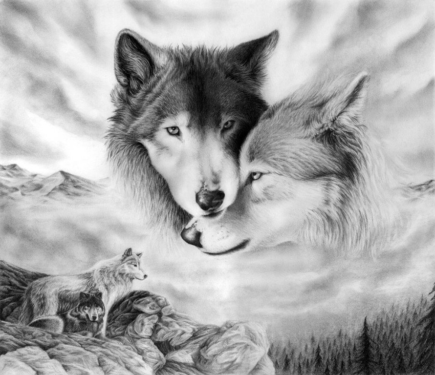 волки пара монохром - монохром, волки, стая, чорнобелое, луна, волк - оригинал