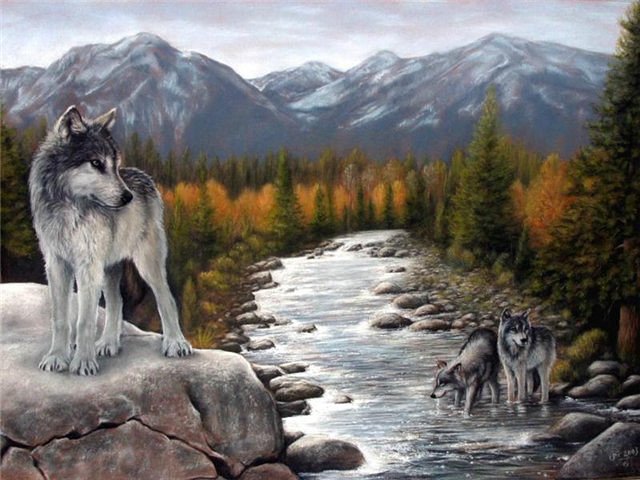 волчонок - хищники, лес, река, горы, волки, стая, обрыв, скалы - оригинал