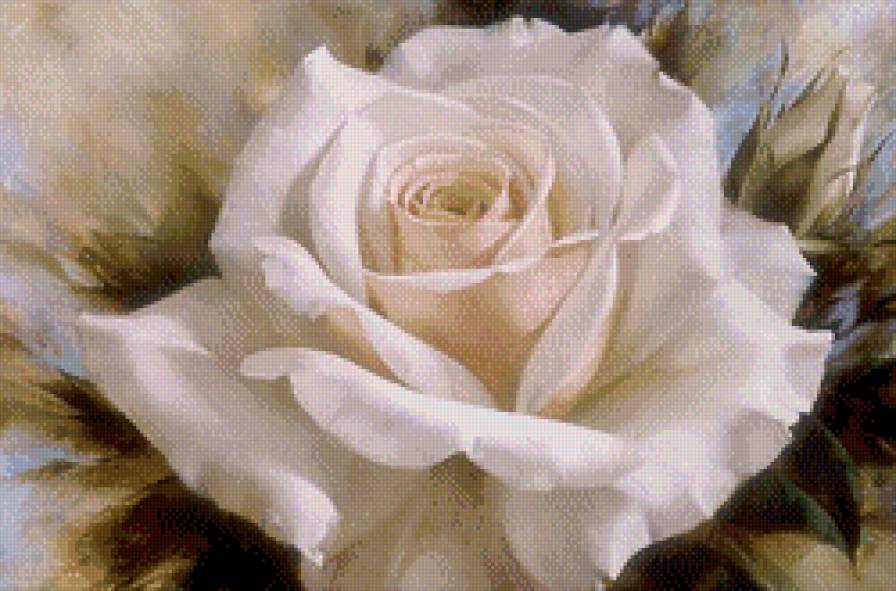 роза - букет, картина, цветок, роза, лепестки - предпросмотр