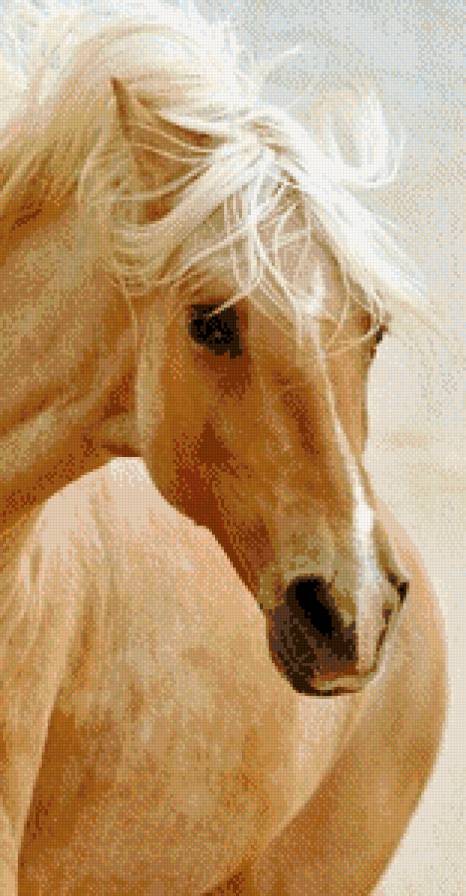 конь - картина лошади - предпросмотр