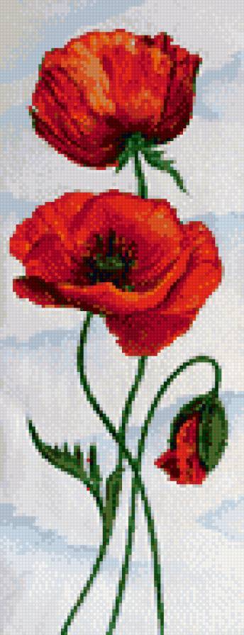 маки - маки - предпросмотр