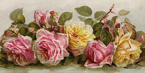 розы 2 винтаж - цветы, розы, букет, акварель, винтаж - оригинал