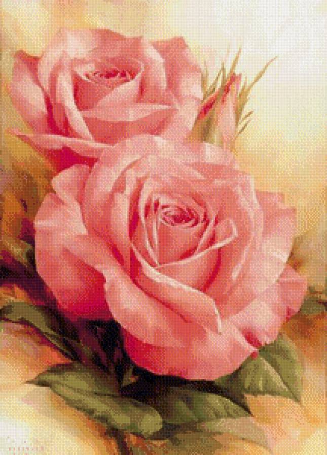 розы - букет, роса, розы, природа, цветы, ветка, куст, капля, роза - предпросмотр