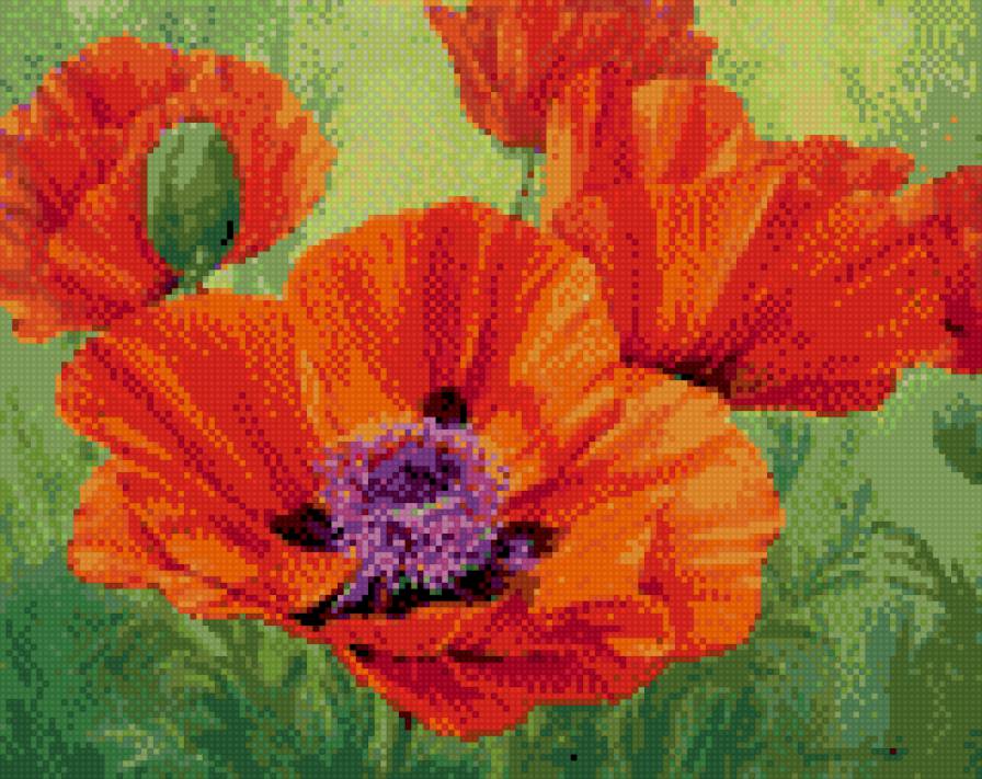 маки6 - маки - предпросмотр