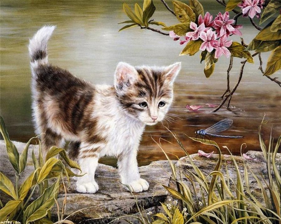 котенок и стрекоза - котенок, цветы, стрекоза, вода - оригинал