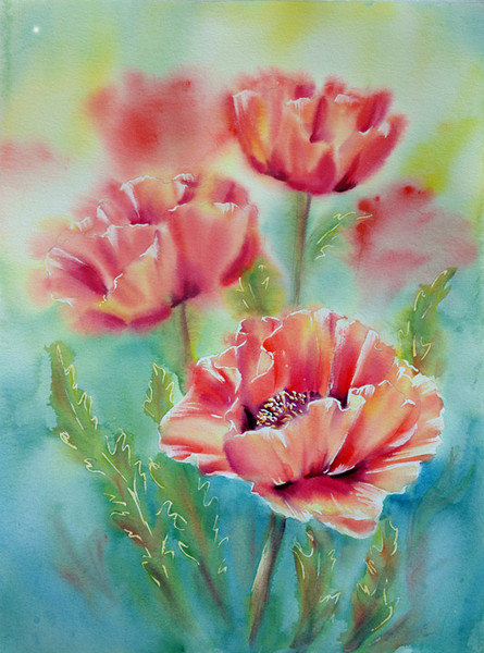 маки13 - маки - оригинал