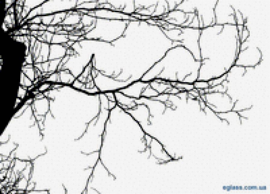 Ветка - ветки, черно-белые - предпросмотр