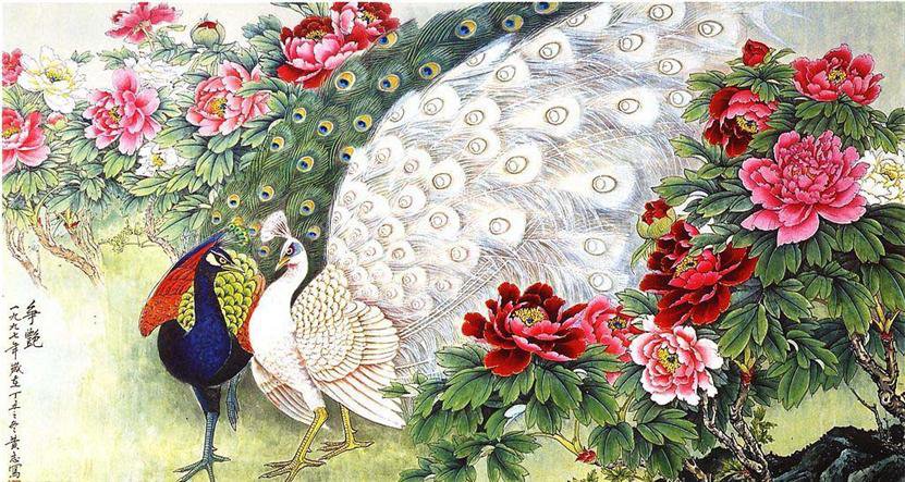 Павлины - животные - оригинал