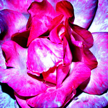 Схема вышивки «Алания»