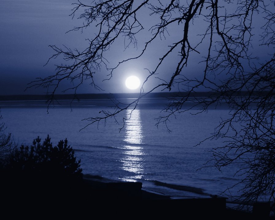 Лунная ночь - ночь, природа, пейзаж, луна - оригинал
