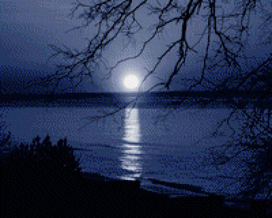 Лунная ночь - пейзаж, природа, ночь, луна - предпросмотр