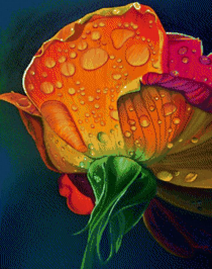 Чудесная роза. - сказка, роза, радуга - предпросмотр