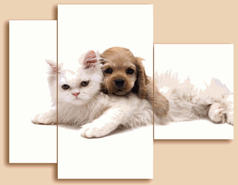 №569912 - триптих, собака, кошка, животные - оригинал