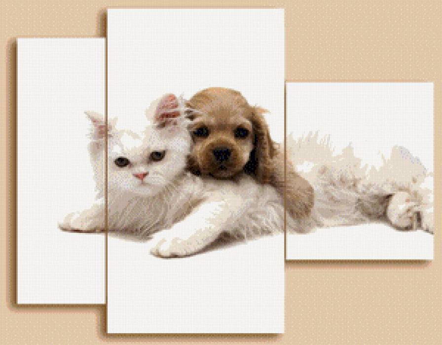 №569912 - триптих, собака, животные, кошка - предпросмотр