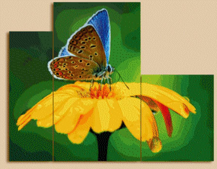 №569915 - триптих, бабочка, цветок - предпросмотр