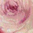 Предпросмотр схемы вышивки «букет» (№569938)
