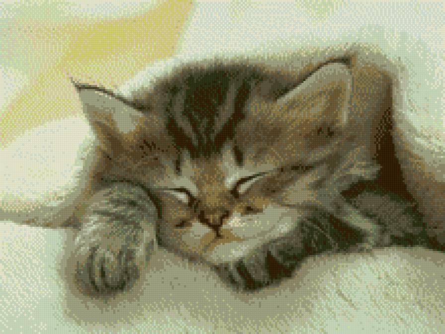 киска - предпросмотр