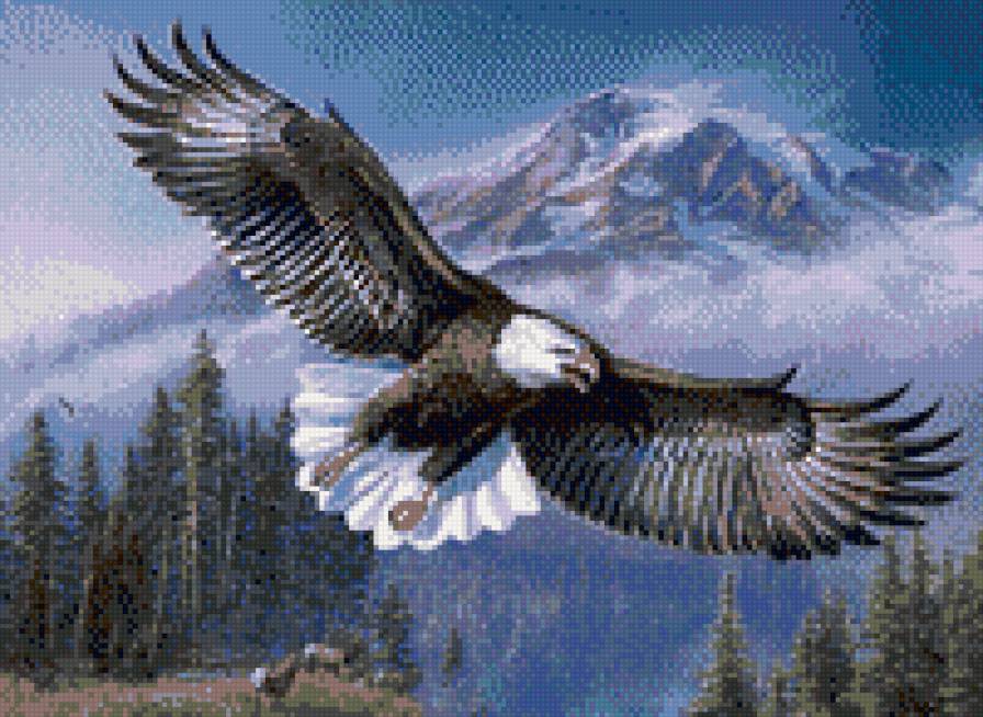 Орел - предпросмотр