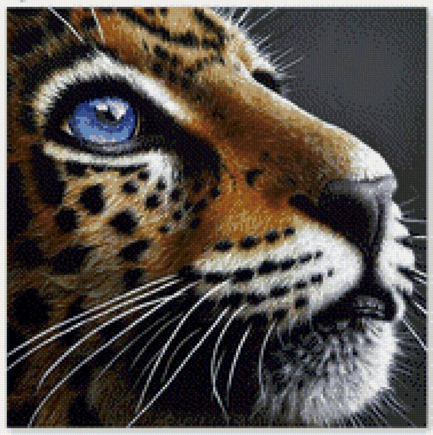 гепард - предпросмотр