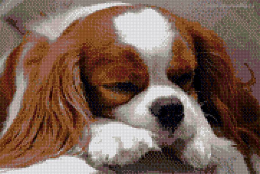 песик - предпросмотр