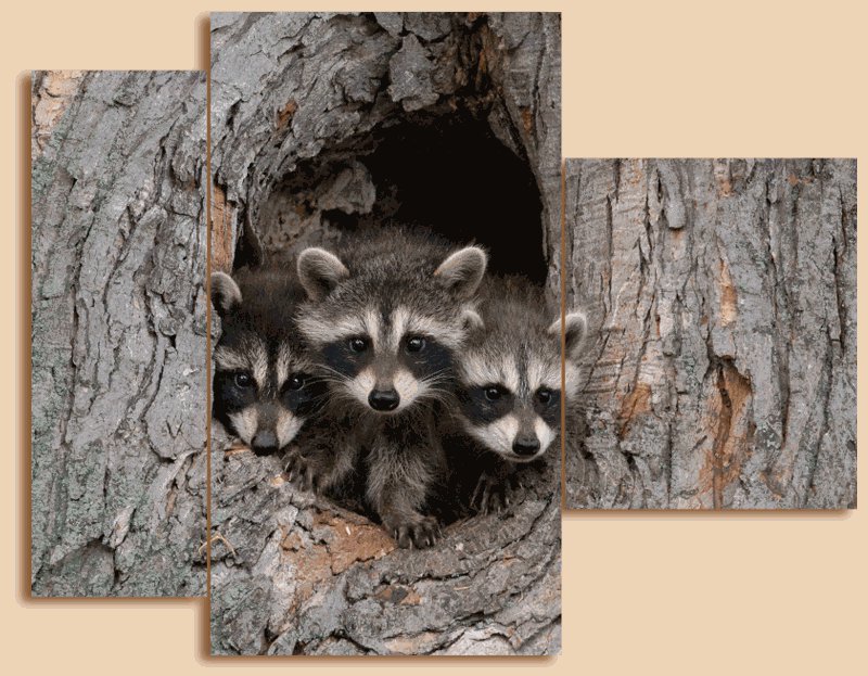 №570042 - животные, дерево, триптих - оригинал