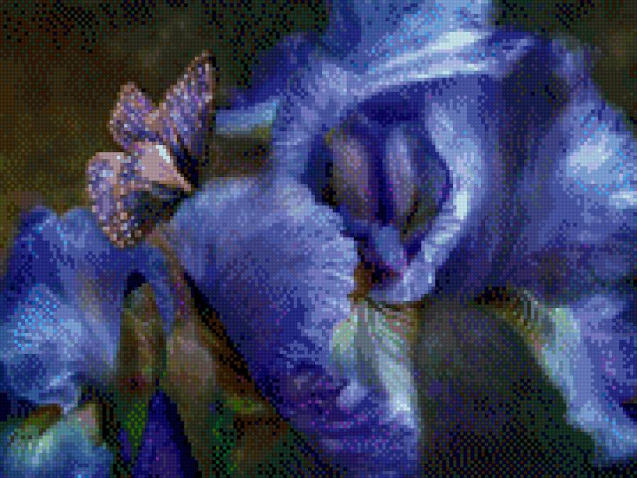 синие ирисы - ирисы, кэрол каваларис, цветы - предпросмотр