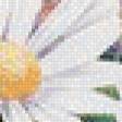 Предпросмотр схемы вышивки «№570102»