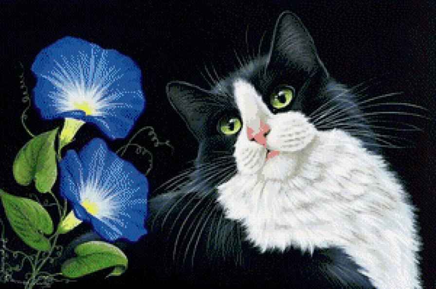 котик - предпросмотр