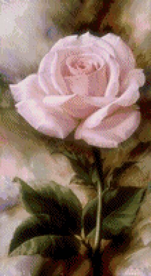 Розовая роза - роза - предпросмотр