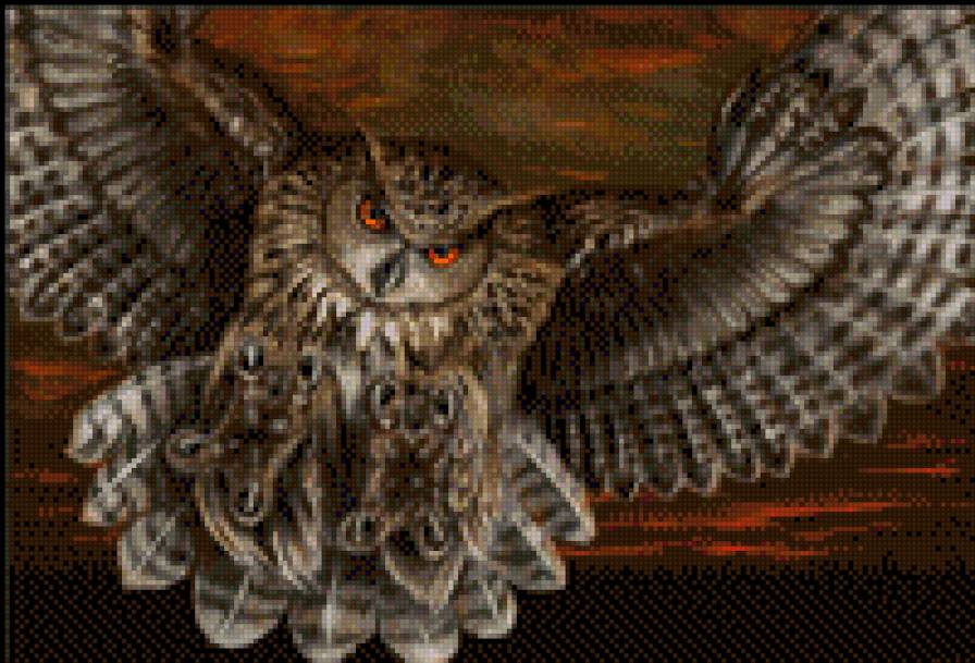 Охотница - сова - предпросмотр