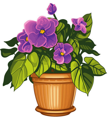 фиалка - оригинал