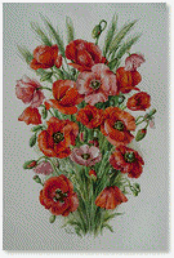 №570227 - предпросмотр