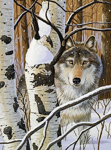 №570276 - зима, волки, животные - оригинал