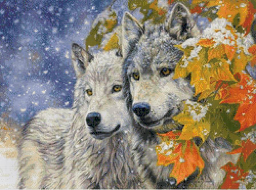 №570278 - животные, зима, волки - предпросмотр