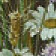 Предпросмотр схемы вышивки «полевые цветы» (№570310)