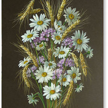 Оригинал схемы вышивки «полевые цветы» (№570310)