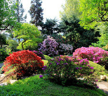 Схема вышивки «Красота природы»