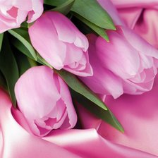 Оригинал схемы вышивки «Розовые тюльпаны» (№570346)