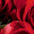 Предпросмотр схемы вышивки «Красные розы» (№570405)