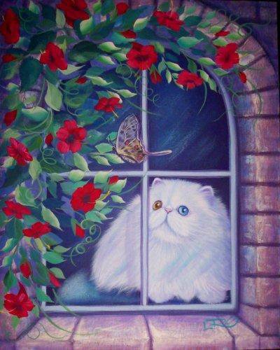 разноглазый кот - кот - оригинал